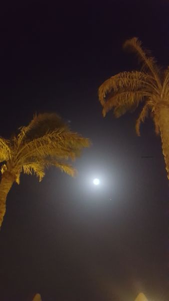Vollmond in Zwillinge